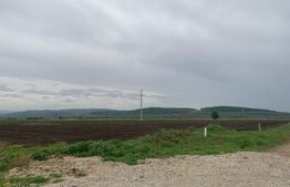 Teren intravilan, 6759 cu PUZ pentru hala, zona Alba-Sebes langa A1