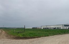 Teren intravilan, 6759 cu PUZ pentru hala, zona Alba-Sebes langa A1