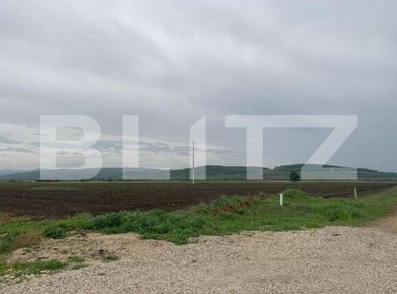 Teren de vânzare Exterior Sud - 145468TV | BLITZ Alba Iulia | Poza2