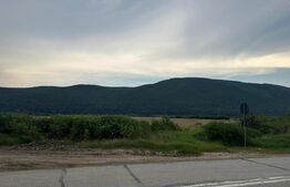 Teren extravilan 2000mp pe soseaua principala intre Sard si Ampoita