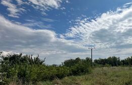 Teren intravilan, 3800 mp, zona Lidl Cetate