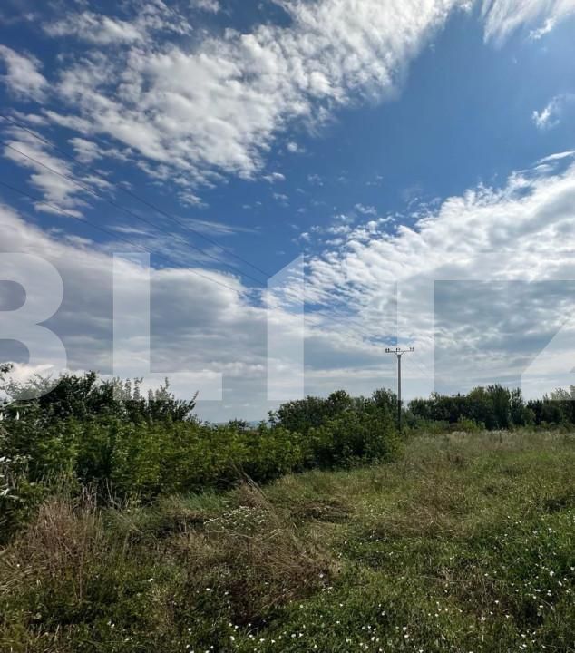 Teren de vânzare Cetate - 145470TV | BLITZ Alba Iulia | Poza2