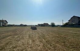 Teren intravilan, 9873mp, zona Cetate