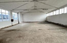 Hală pentru multiple activitati, Alba Iulia, iesire sud A10