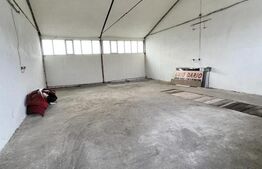 Hală pentru multiple activitati, Alba Iulia, iesire sud A10