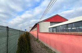 Hală pentru multiple activitati, Alba Iulia, iesire sud A10