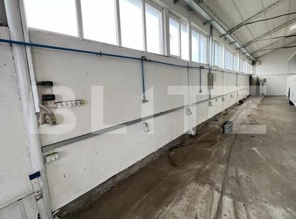 Spațiu comercial de vânzare Periferie - 145482SVC | BLITZ Alba Iulia | Poza5