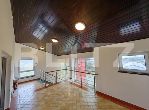 Spațiu comercial de vânzare Periferie - 145485SVC | BLITZ Alba Iulia | Poza11