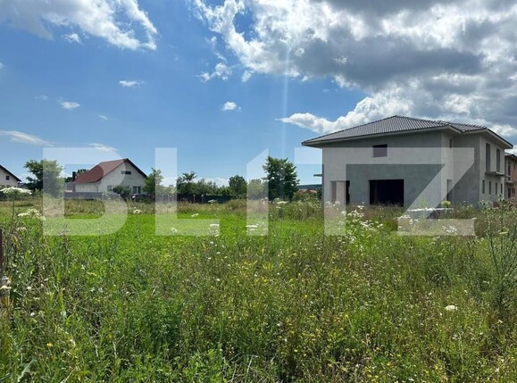 Teren de vânzare Micești - 145488TV | BLITZ Alba Iulia | Poza2