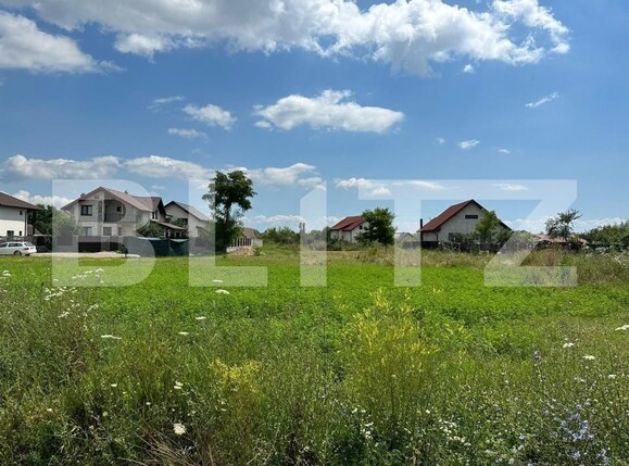 Teren de vânzare Micești - 145488TV | BLITZ Alba Iulia | Poza1