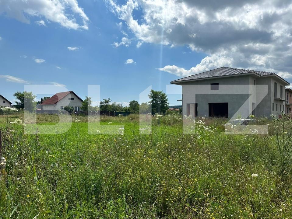 Teren de vânzare Micești - 145488TV | BLITZ Alba Iulia | Poza2