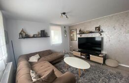 Apartament 3 camere la vila, 110mp, cu garaj, zona Penny-Micesti