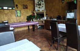 Pensiune de 503 mp, teren 690 mp, in zona Cetate