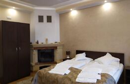 Pensiune de 503 mp, teren 690 mp, in zona Cetate