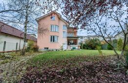 Vilă pentru investitie, 700 mp utili, teren 1100 mp, zona Cetate - Alba Iulia