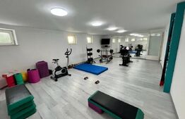 Vilă pentru investitie, 700 mp utili, teren 1100 mp, zona Cetate - Alba Iulia