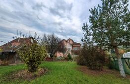 Vilă pentru investitie, 700 mp utili, teren 1100 mp, zona Cetate - Alba Iulia