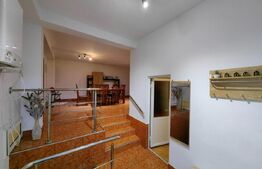 Casă cu 4 dormitoare și 2 spații comerciale, zona Tolstoi - Centru