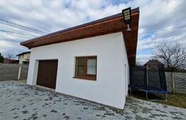 Casa cu 3 camere, 140 mp utili, 800 mp teren, zona Micesti