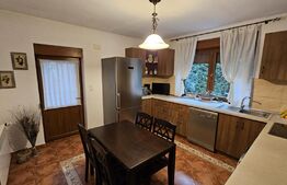 Casa individuala 5 camere, 250 mp utili, 600 mp teren, zona Cetate-Kaufland