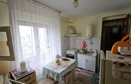 Casă individuala 3 camere, teren 2200 mp, garaj, terasa, pivnita, Pianu de Sus 