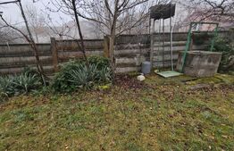 Casă individuala 3 camere, teren 2200 mp, garaj, terasa, pivnita, Pianu de Sus 