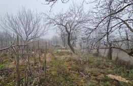 Casă individuala 3 camere, teren 2200 mp, garaj, terasa, pivnita, Pianu de Sus 