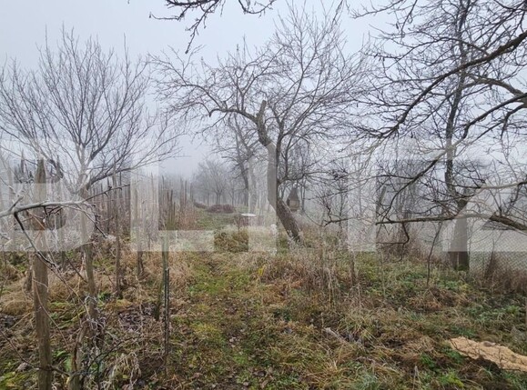 Casa de vânzare 3 camere Periferie - 145535CV | BLITZ Alba Iulia | Poza5