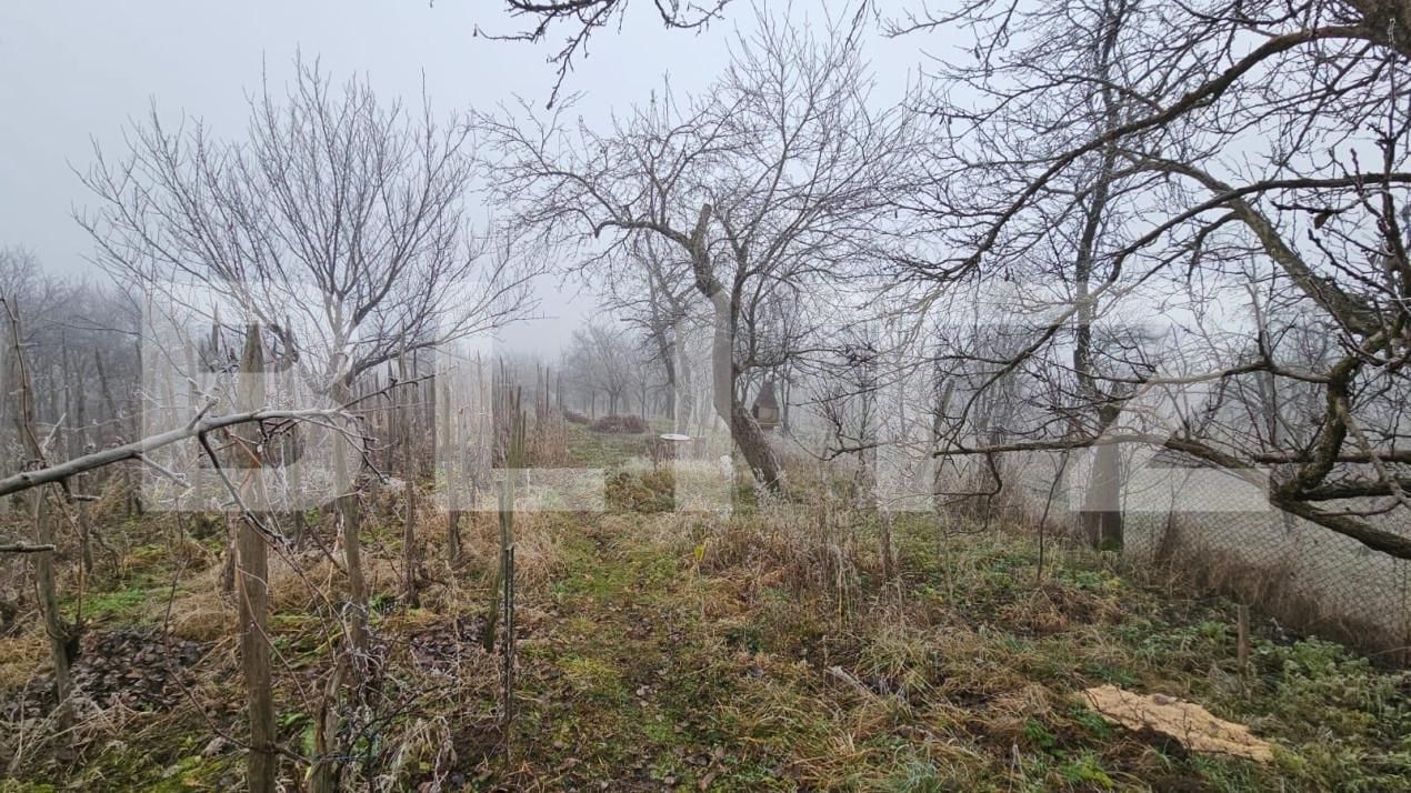 Casa de vânzare 3 camere Periferie - 145535CV | BLITZ Alba Iulia | Poza7