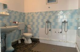 INVESTITIE, casa cu teren ideal 1839 mp, zona Carolina Mall- Alba Iulia 