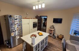 Casa individuala, zona centrala - posibilitate business !!