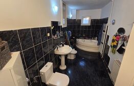 Casa individuala, zona centrala - posibilitate business !!