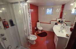 Casa individuala, zona centrala - posibilitate business !!