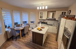 Casa individuala, zona centrala - posibilitate business !!