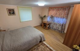 Casa individuala, zona centrala - posibilitate business !!