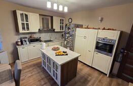 Casa individuala, zona centrala - posibilitate business !!