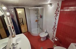 Casa individuala, zona centrala - posibilitate business !!