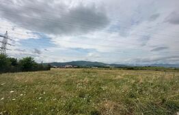 Teren intravilan, 1750mp, cartier Ampoi 3