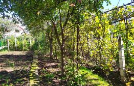 Casa de 170 mp, teren 720 mp, parcare, zona Cetate