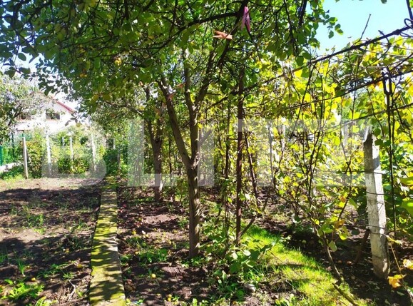 Casa de vânzare 4 camere Cetate - 145564CV | BLITZ Alba Iulia | Poza9