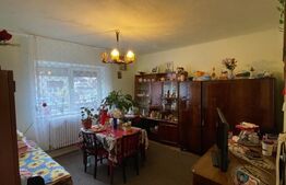 Casa individuala cu 8 camere, 390 mp utili, zona Centru