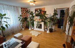 Casa individuala cu 8 camere, 390 mp utili, zona Centru