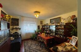 Casa individuala cu 8 camere, 390 mp utili, zona Centru