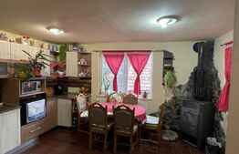 Casa individuala cu 8 camere, 390 mp utili, zona Centru