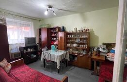 Casa individuala cu 8 camere, 390 mp utili, zona Centru