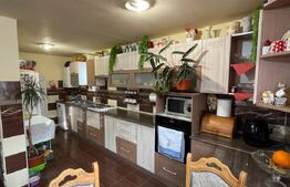 Casa individuala cu 8 camere, 390 mp utili, zona Centru