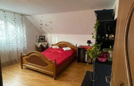 Casa individuala cu 8 camere, 390 mp utili, zona Centru