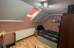 Casa individuala cu 8 camere, 390 mp utili, zona Centru