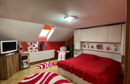 Casa individuala cu 8 camere, 390 mp utili, zona Centru