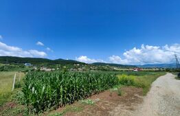 Teren intravilan, 4670 mp, zona Micești partea stanga